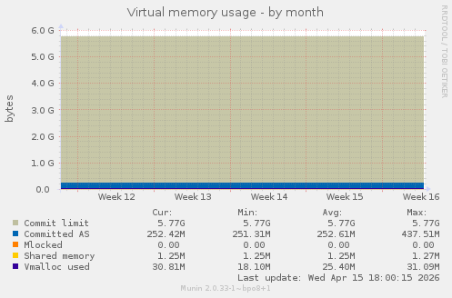 Virtual memory usage
